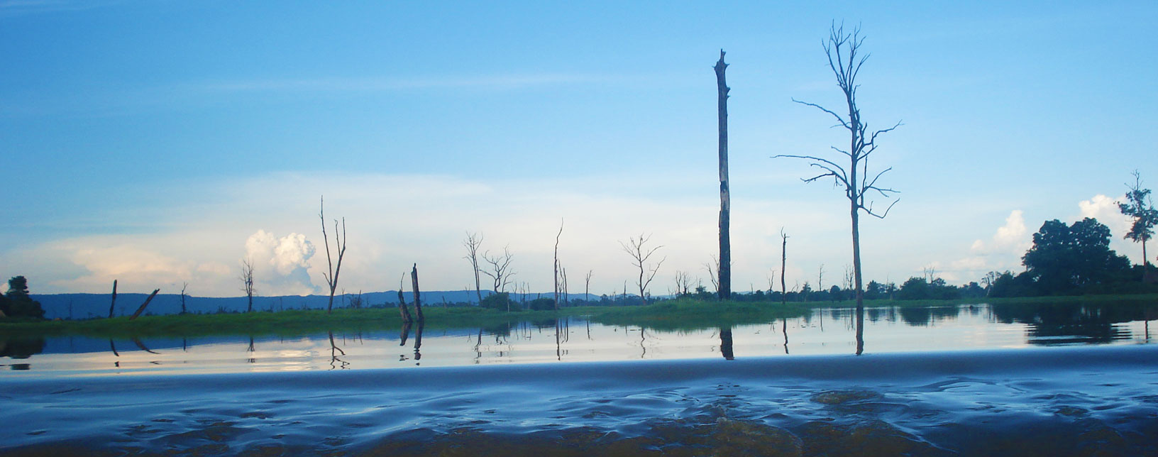 The Flooded Forest in Anlong Veng