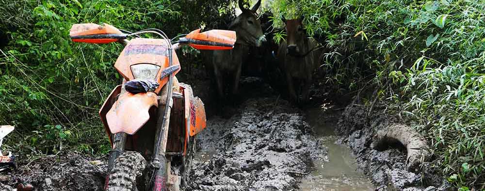 KTM stuck in a muddy bog with ox-cart waiting to pass