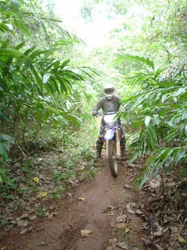 dirt-bike-tours-cambodia-jungle