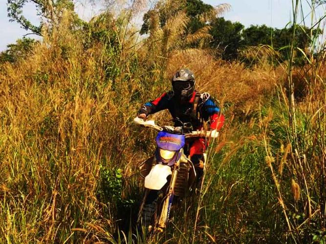 dirt-bike-tours-cambodia-bush