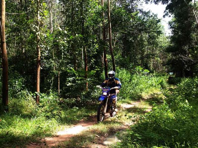 dirt-bike-tours-cambodia-forrrest